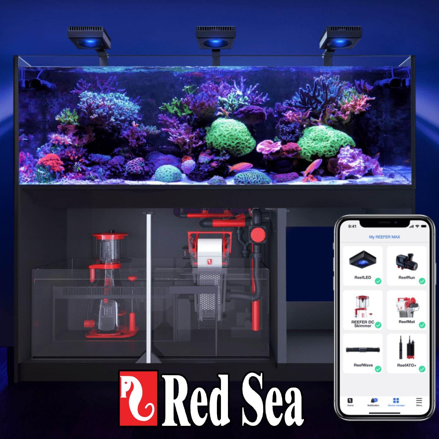 Red Sea Reef Foundation B Alkalinity (KH) Supplement, 5 L - Boosts Carbonate Levels for Strong Coral Skeletons in Reef & Marine Aquariums