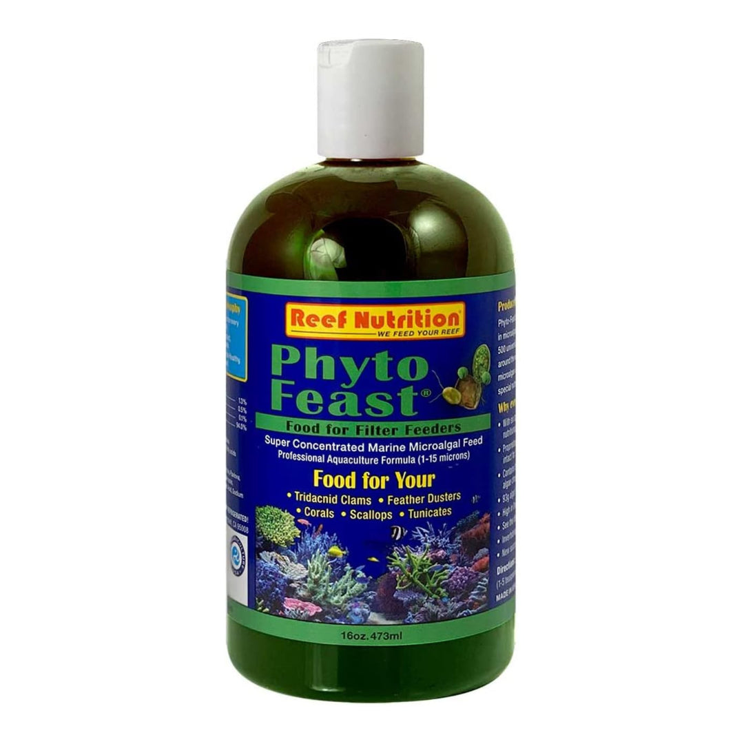 Phyto-Feast Live, 16 oz Bottle